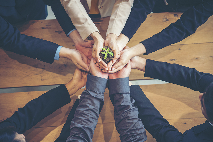 Hands coming together over a meeting or board room table to hold a green shoot representing sustainabilty in business